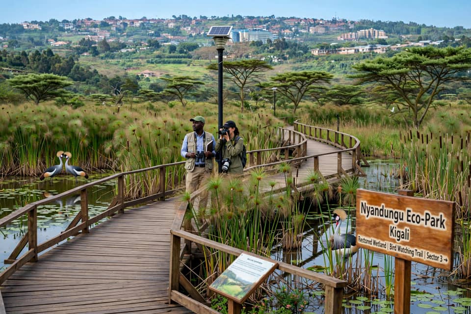 Nyandungu Eco-Park